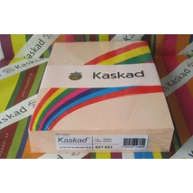 Másolópapír Kaskad A/4 80g "31" lazac 500ív/csg Másolópapír Kaskad A/4 80g "31" lazac 500ív/csg
