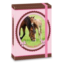 ARS UNA MY HORSE LOVAS A/5 FÜZETBOX