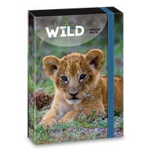 ARS UNA MÁTÉ BENCE THE EYES OF THE WILD - LION A/4 FÜZETBOX