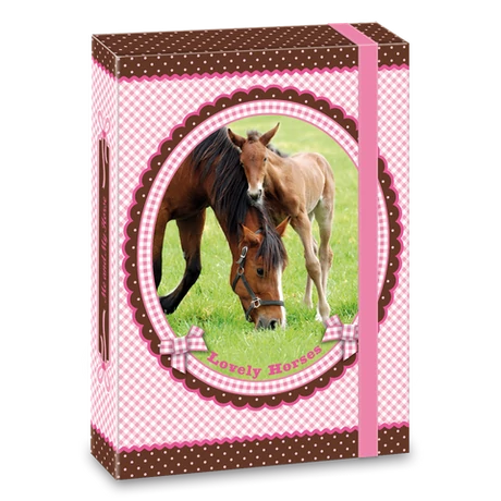 ARS UNA MY HORSE LOVAS A/5 FÜZETBOX