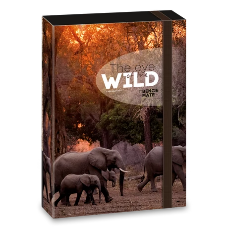 ARS UNA MÁTÉ BENCE THE EYES OF THE WILD - ELEPHANT A/4 FÜZETBOX
