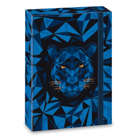 ARS UNA BLACK PANTHER A/5 FÜZETBOX