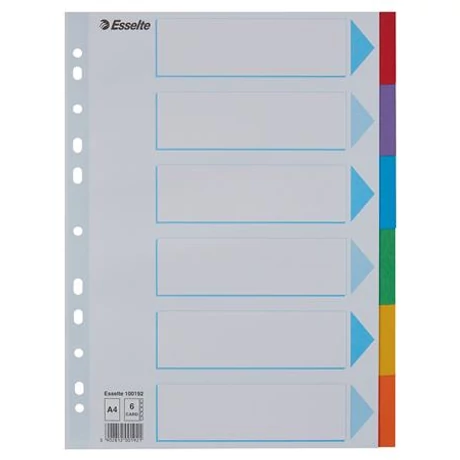 Regiszter, karton, A4, 6 részes, írható előlappal, ESSELTE "Standard", színes