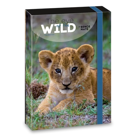ARS UNA MÁTÉ BENCE THE EYES OF THE WILD - LION A/4 FÜZETBOX